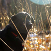 Ponch with sun flare