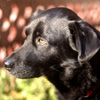 Photo of Ponch