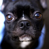 Closeup of Super