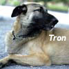 Pic of Tron