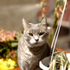 Thumbnail of Wyatt1