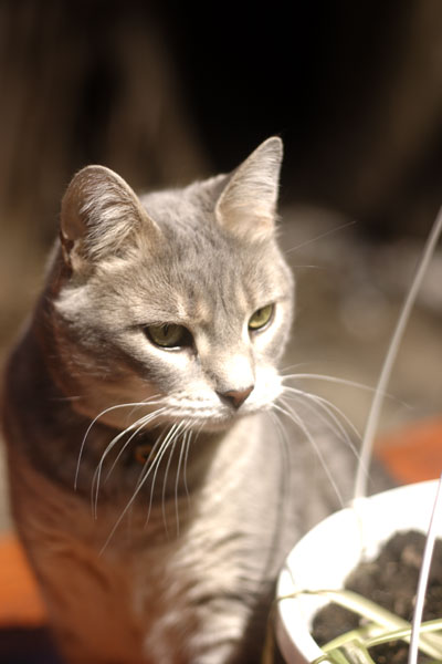 Greta looking cool
